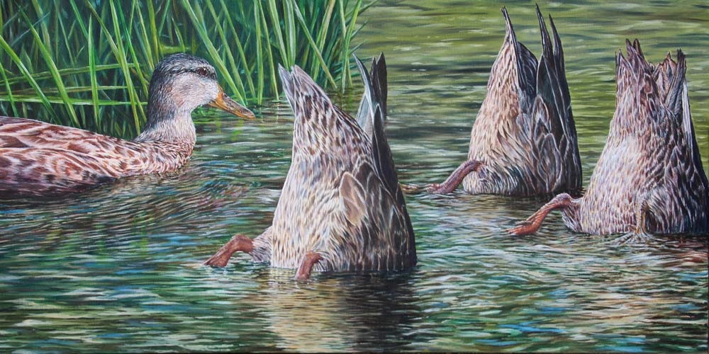 ducks oil painting