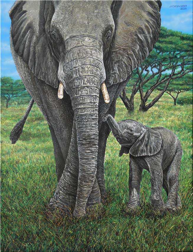 art-fineart-elephants