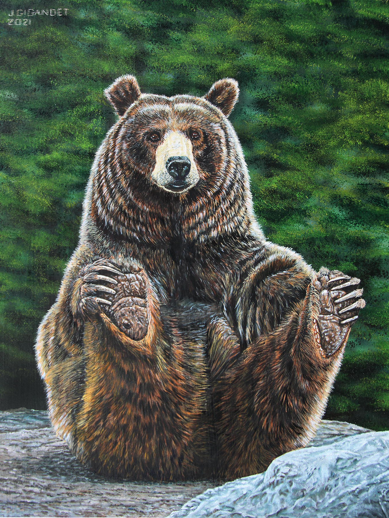 Grizzly bear oil painting