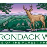 Adirondack Wild Logo