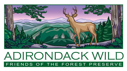 Adirondack Wild Logo